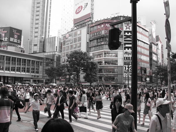 more Shibuya craziness!