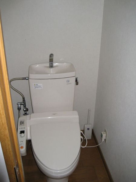 my cool Japanese toilet