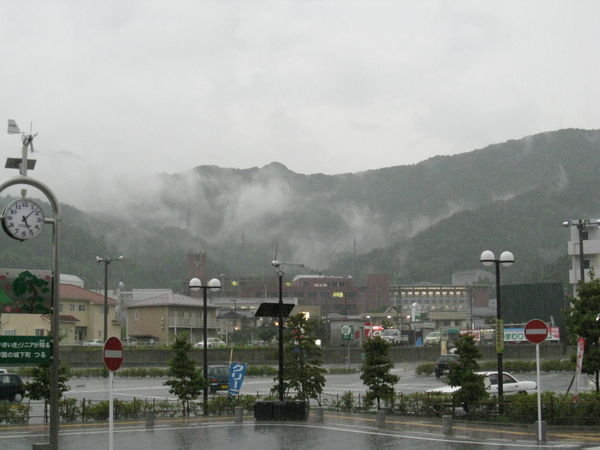 Tsuru in the rain