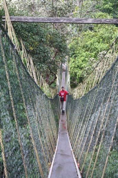 The worlds longest canopy walk - I'm Ben get me out of here