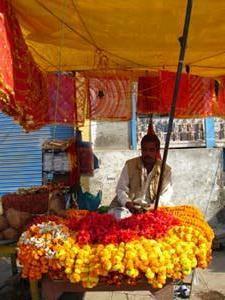 Selling marigolds 