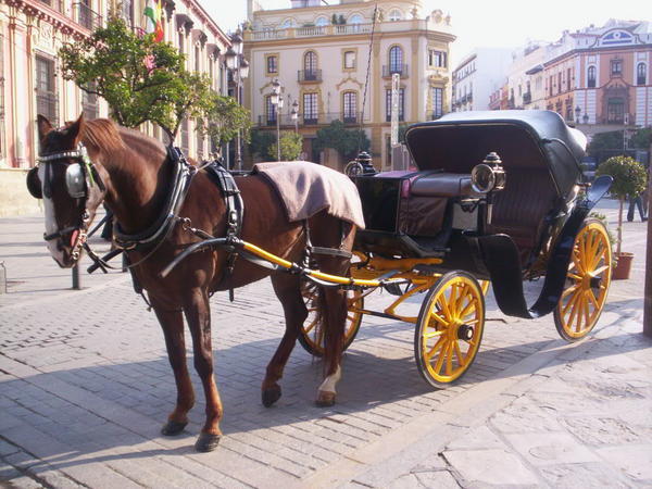 Horse & Buggy Ride, Seville