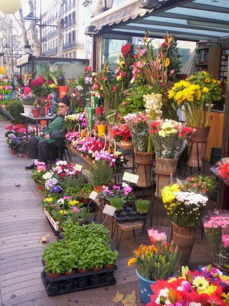 Flower Markets, down Las Ramblas, Barcelona