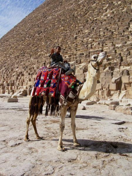 Boy on Camel, the Great Pyramids, Giza