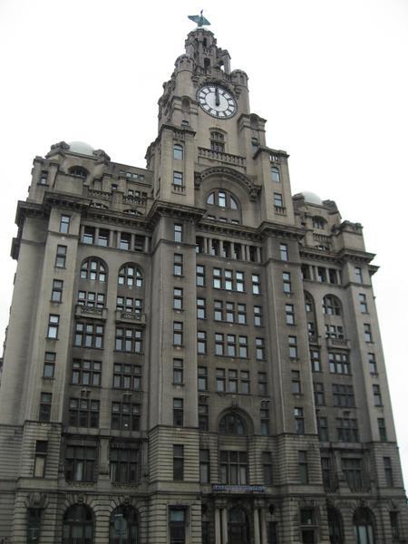 The Liver Building (nice name), Mann's Island, Liverpool