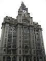 The Liver Building (nice name), Mann's Island, Liverpool