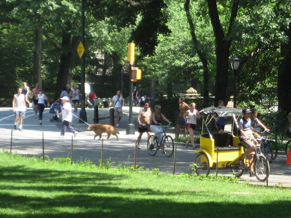 Busy Central Park, New York City