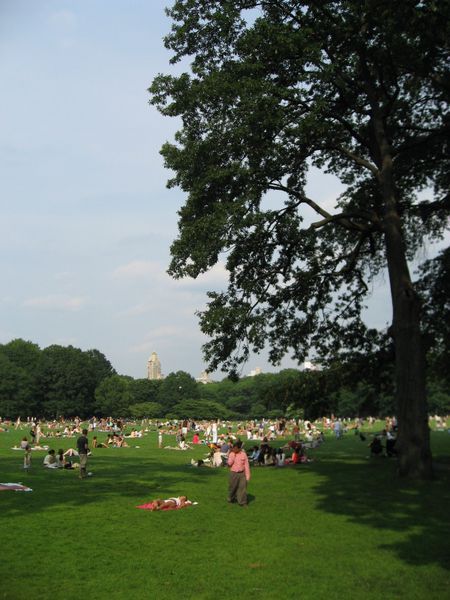 The Great Lawn, Central Park
