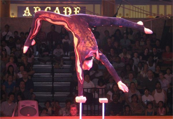Acrobat at Circus Circus, Las Vegas