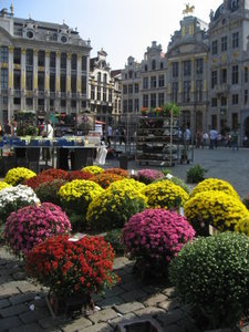 Guildhalls & Flowers, Grand Place, Brussels, Belgium