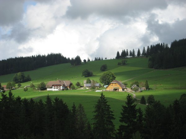 Pretty Black Forest Countryside!