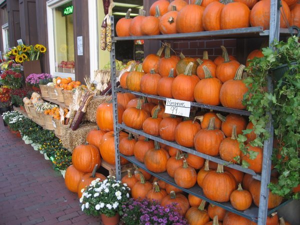Halloween Pumpkin Display, Boston
