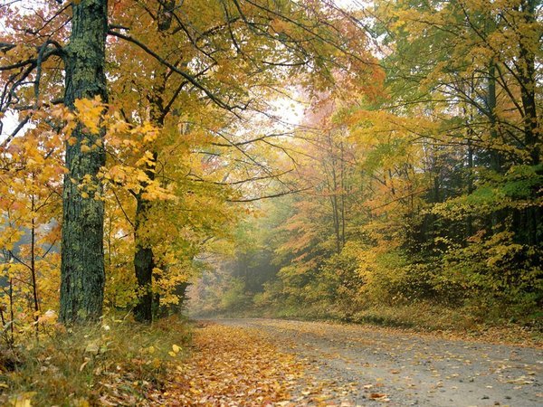 Autumn Vermont Roads