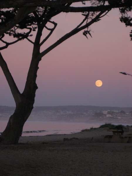 Moon Rise over the Dunes, from Monterey, California