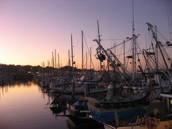 Fishing Boats at the Marina, Monterey, California