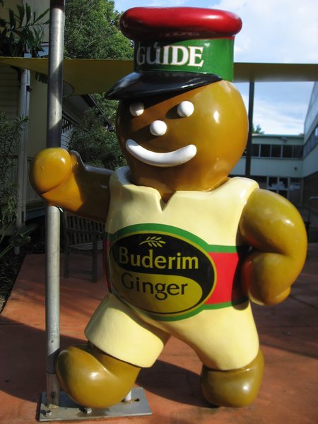 The Gingerbread Man at the Ginger Factory!