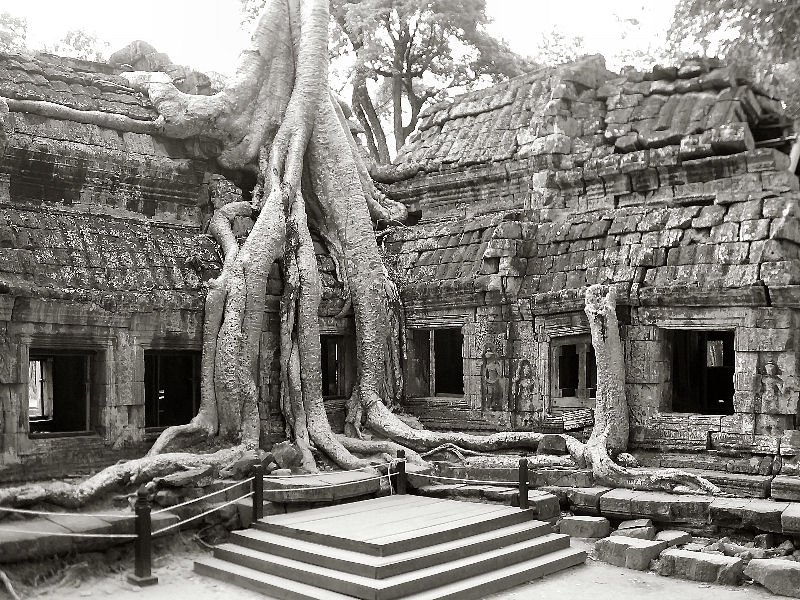 Ta Prohm, Angkor Archaeological Park, Siem Reap