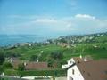 Lake Geneva & Grapevines, Switzerland