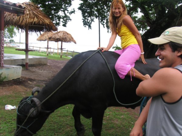 Angelica riding a buffalo on MarajÃ³