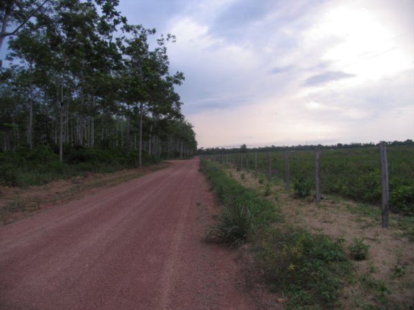 Ranching land outside Paragominas, ParÃ¡