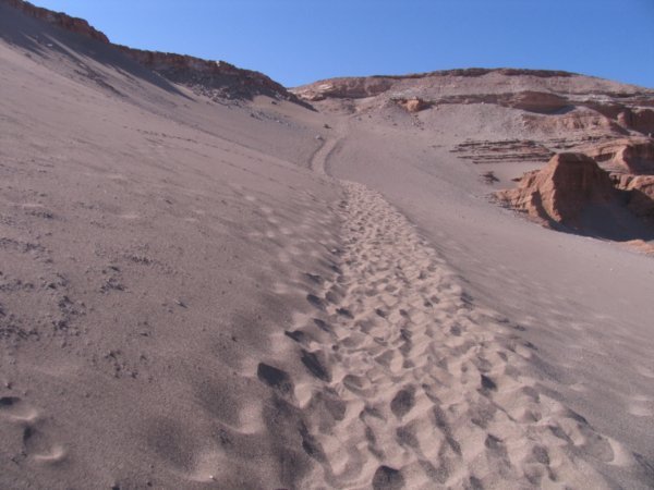 The barefoot dune