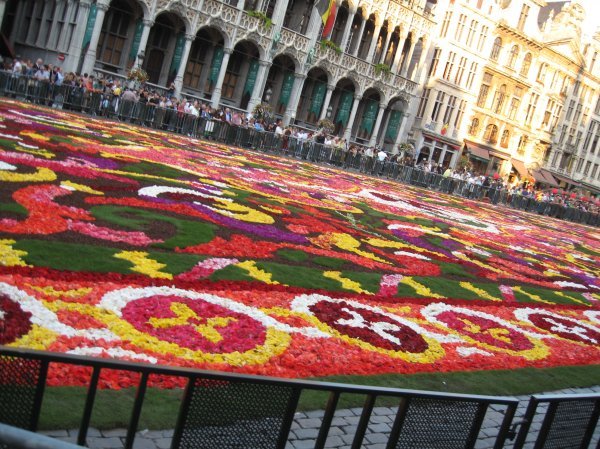 Flower Carpet Thing