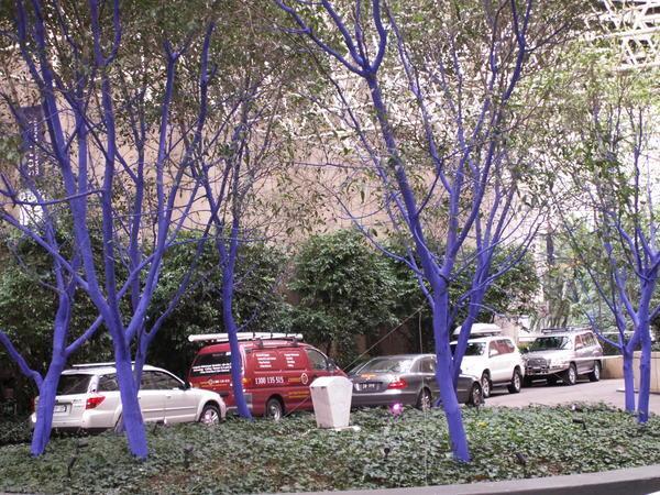 blue trees