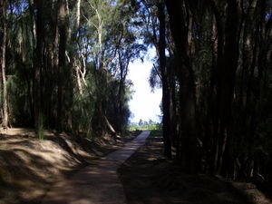 Path to Kalaupapa Lookout