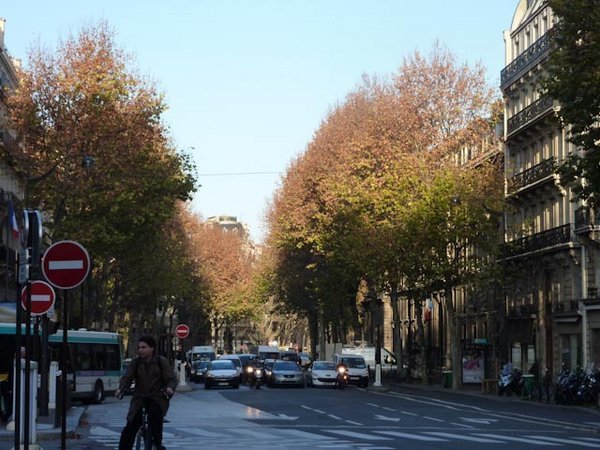 St.Germain Boulevard