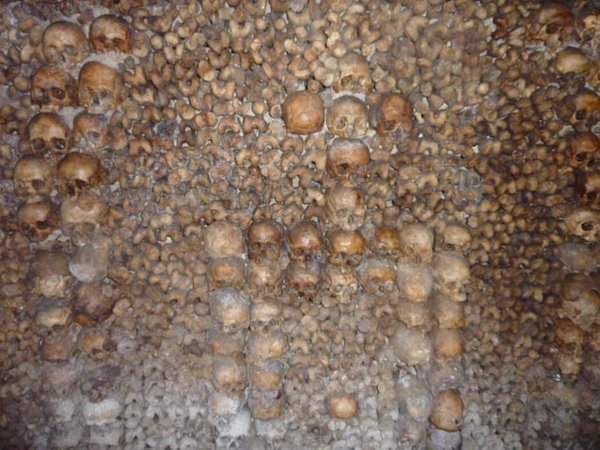 The Wall of Skulls