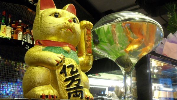 These both are supposed to bring good luck to the bar. The cat belongs to the Japanese tradition, the fish to the Chinese tradition.