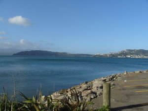 The View across the bay to Wellington