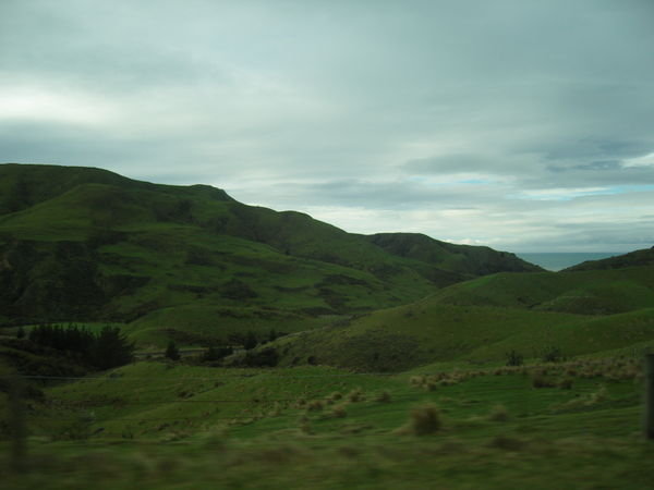 Rolling hills of the Southland