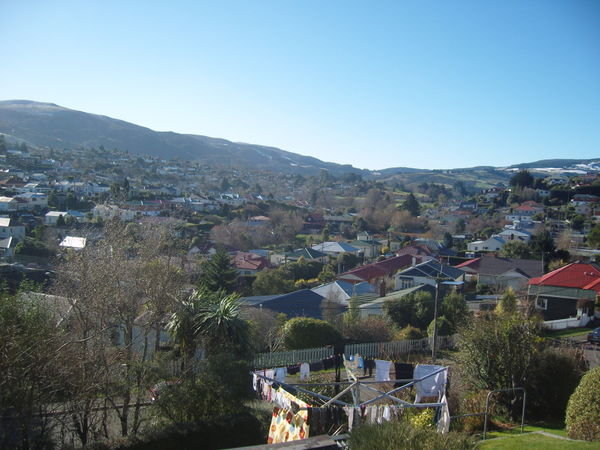 A shot of Dunedin on our walk back from town