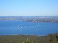 View from top of Rangitoto - 2