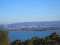 View from top of Rangitoto - 3