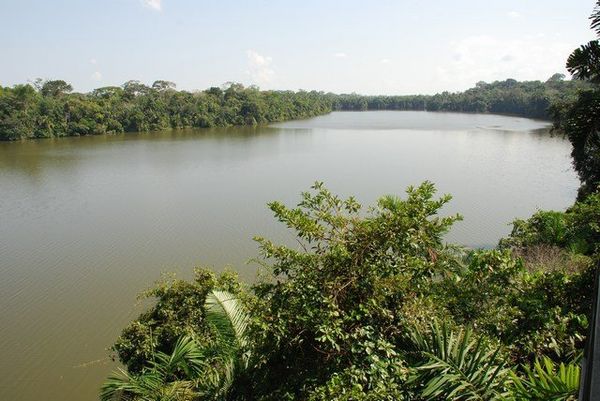 big lake in the jungle