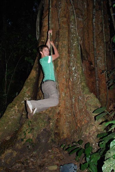 me climbing the big tree