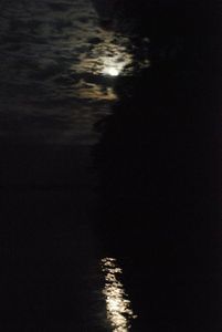 amazon river by moonlight