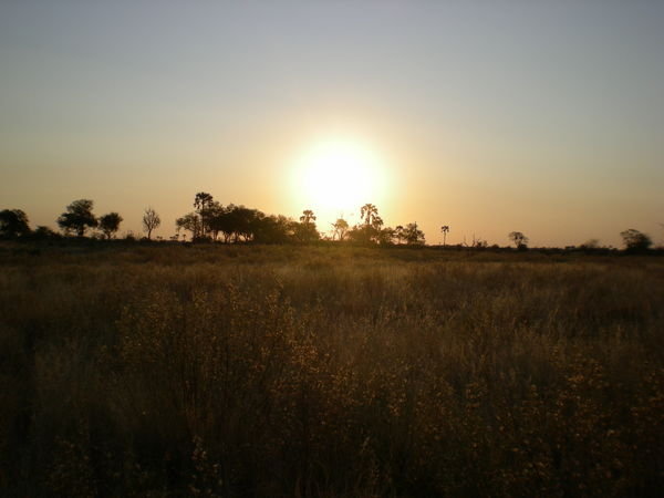 Sunset Okavango Delta