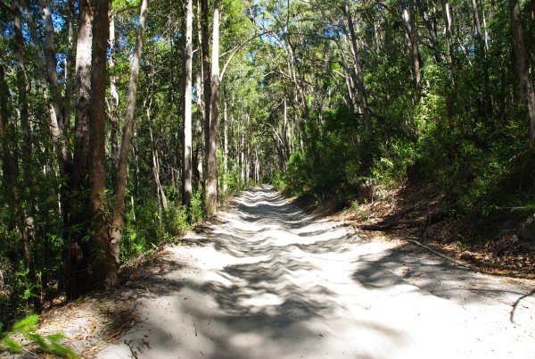 The road through Fraser Island