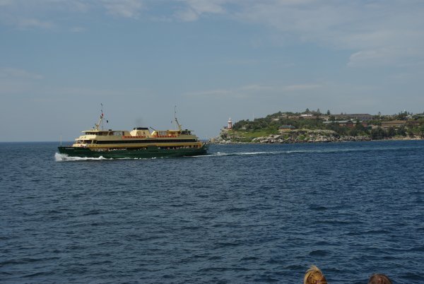Manly Ferries