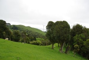 Views Over Palmy and the Wind Turbines