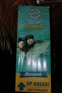 Swim with Dolphins Sign