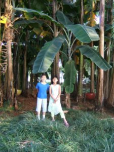 Ya-Li and Zoe in Green Lake foliage
