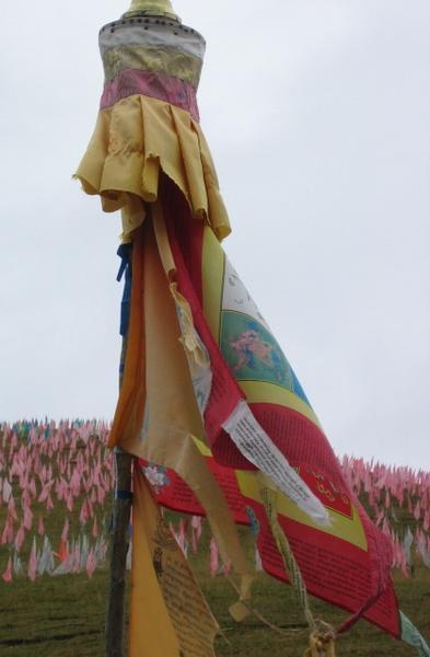 Windhorse Flag above Traling Gompa