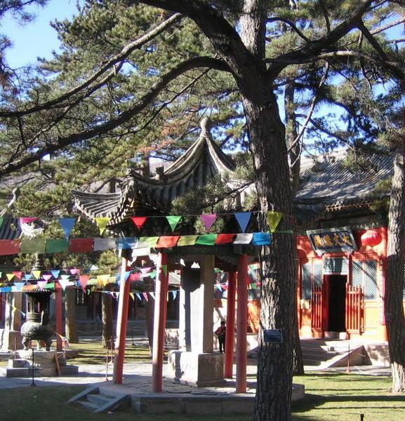 Prayer Flags in Temple Courtyard