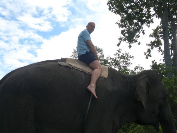On the elephant