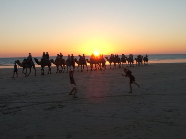 Sunset at Cable Beach-A & T & camel train