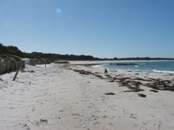 Stumpys Bay